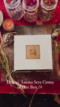 Load and play video in Gallery viewer, Into the Deep Pisces Gift Set

