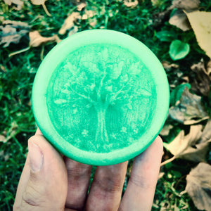 Plant Mom/Green Witch Box for Growth