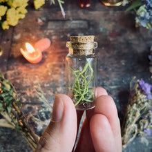 Load image into Gallery viewer, Goddess of War Self-Care Kit
