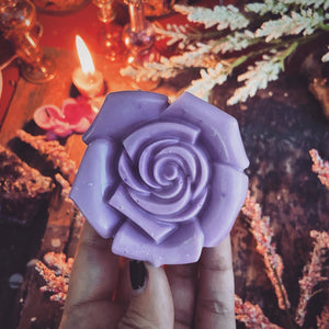The Last Unicorn Witch Box