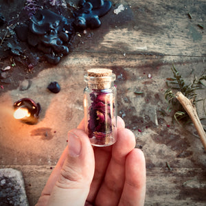 Welcome to Wonderland Whimsy Witch Box version 1